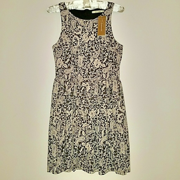 Lace patterned mini skater dress NWT - Picture 1 of 8